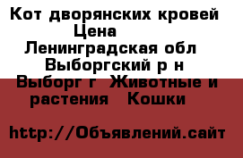 Кот дворянских кровей › Цена ­ 500 - Ленинградская обл., Выборгский р-н, Выборг г. Животные и растения » Кошки   